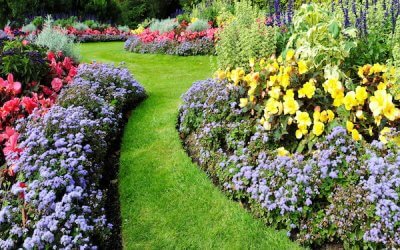 Simple Steps To Transform Your Garden 
